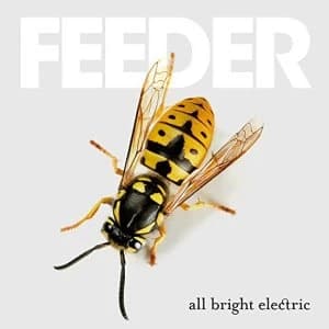 Feeder All Bright Electric Vinyl