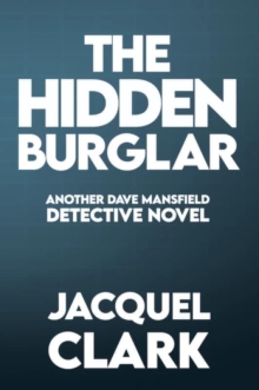 The Hidden Burglar Paperback / softback