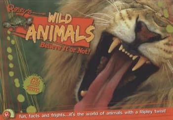 Wild Animals by Camilla De La Bdoyre Hardback