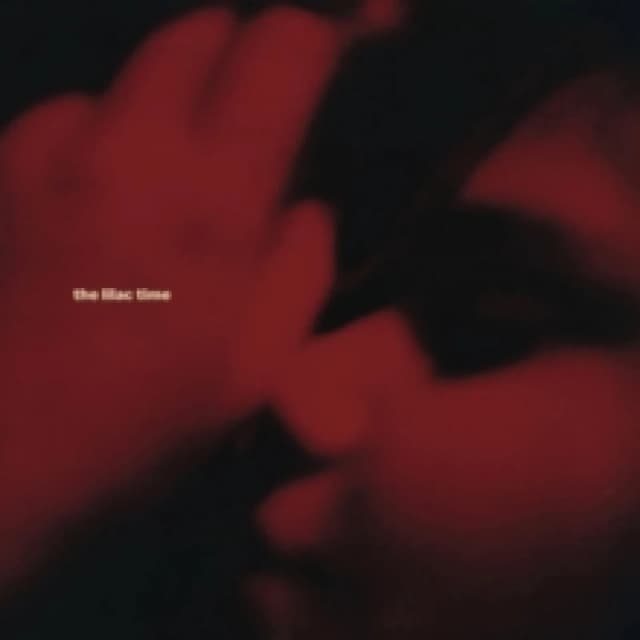 Looking for a Day in the Night CD / Album