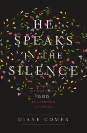 He speaks in the silence by Diane Comer