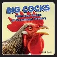 big cocks hilarious snaps of prominent poultry