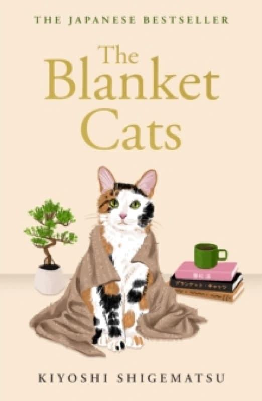 The Blanket Cats Paperback / softback