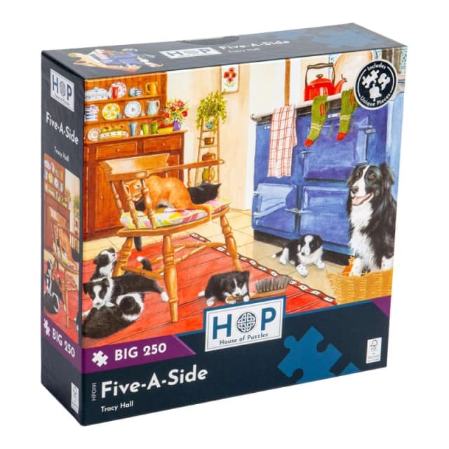 The House Of Puzzles Five-A-Side, BIG 250 Piece Jigsaw Puzzle Multi unisex