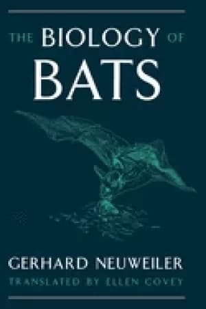 biology of bats