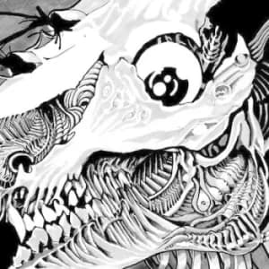 Collective Unconsciousness by S.H.I.T. Vinyl Album