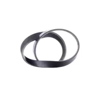 RIDEX V-ribbed belt 305P0221 Serpentine belt,Auxiliary belt PEUGEOT,CITROEN,206 Schragheck (2A/C),206 CC (2D),206 SW (2E/K)