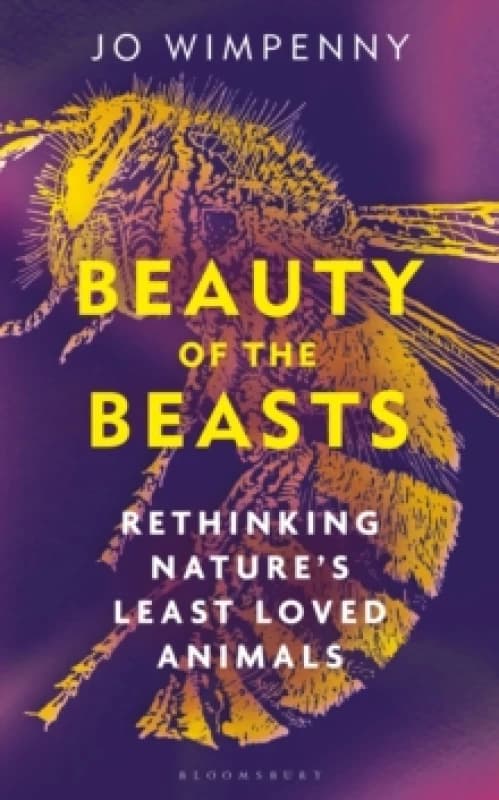 Beauty of the Beasts : Rethinking Nature's Least Loved Animals Hardback