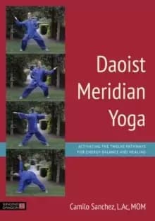 Daoist Meridian Yoga : Activating the Twelve Pathways for Energy Balance and Healing