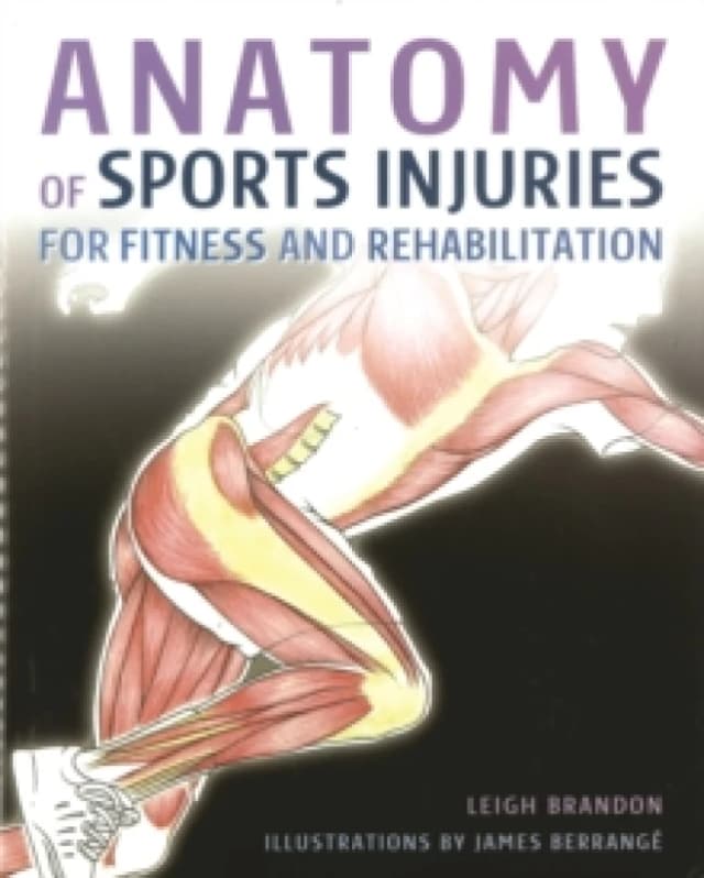 Anatomy of Sports Injuries Paperback / softback