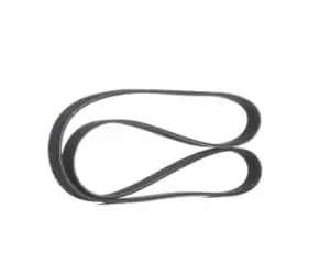 RIDEX V-ribbed belt FIAT,PEUGEOT,CITROEN 305P0136 5750GJ,5750GP,5750S6 Serpentine belt,Auxiliary belt,Poly V-belt,Ribbed belt,Multi V-belt,Poly belt