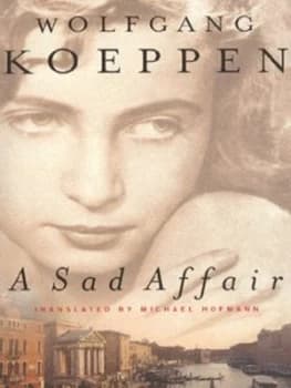 A Sad Affair by Wolfgang Koeppen Paperback