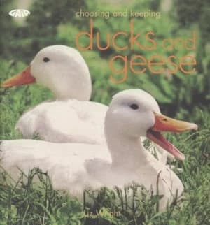 Choosing and Keeping Ducks and Geese by Liz Wright Paperback