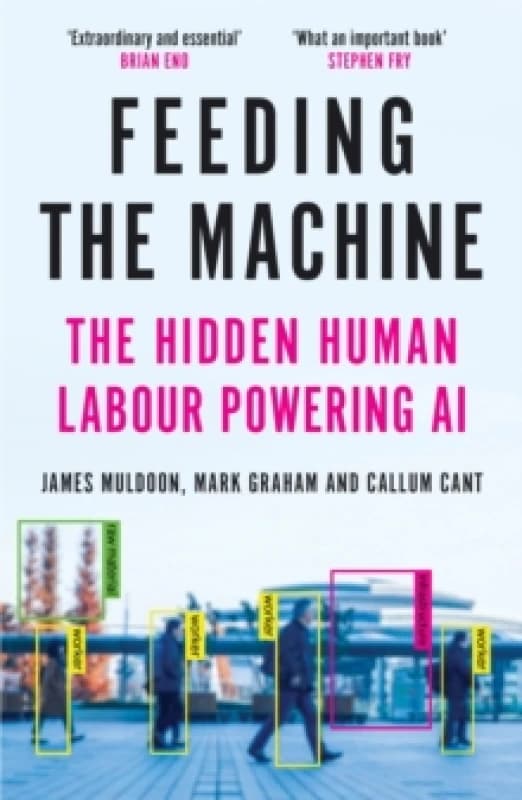 Feeding the Machine : The Hidden Human Labour Powering AI Paperback / softback
