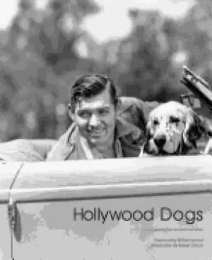 hollywood dogs photographs from the john kobal foundation