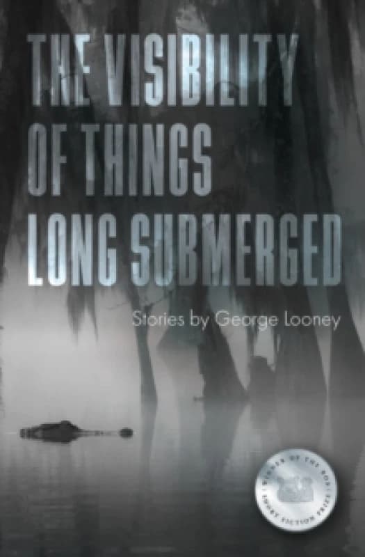 The Visibility of Things Long Submerged Paperback / softback