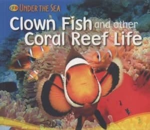 Clown Fish and Other Coral Reef Life by Sally Morgan Paperback