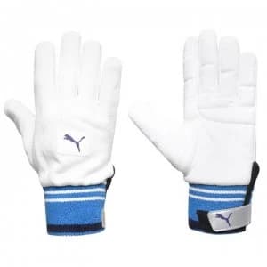 Puma Evo Full Cricket Gloves - Natrual/Blue