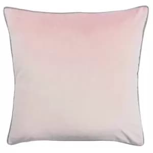 Meridian Velvet Cushion Blush/Grey