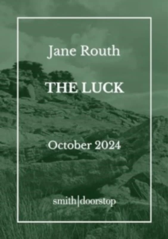 The Luck Paperback / softback
