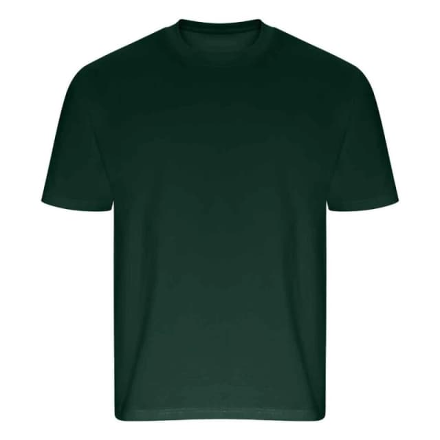 Ecologie Ecologie Men Arrow Heavy Oversized T-Shirt in Green Size: X-Small Green XS Male 5063703819060