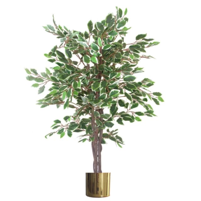 N/A 130cm LARGE Realistic White Edge Ficus Artificial Plant Tree Gold Metal Planter