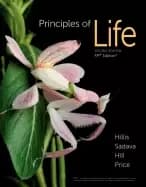principles of life for the apr course