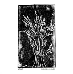 In the Green Castle by Orfeo 5 CD Album