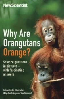 Why Are Orangutans Orange by Mick Ohare Paperback