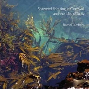Seaweed Foraging in Cornwall and the Isles of Scilly by Rachel Lambert Book