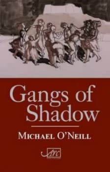 Gangs of Shadow by Michael Oneill Hardback