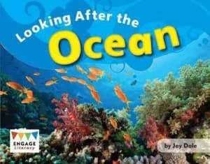 Looking After the Ocean by Jay Dale Book