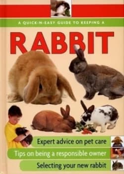 A Quick-N-Easy Guide to Keeping Rabbits by Anne Mcdowall Hardback