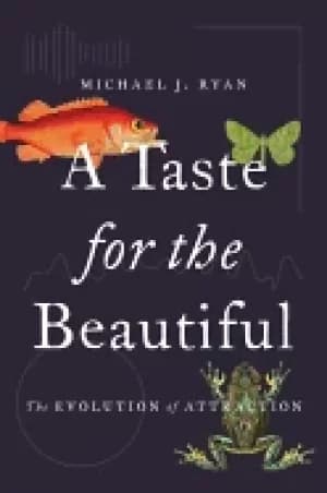 taste for the beautiful the evolution of attraction