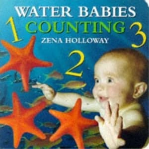 Counting by Zena Holloway Hardback
