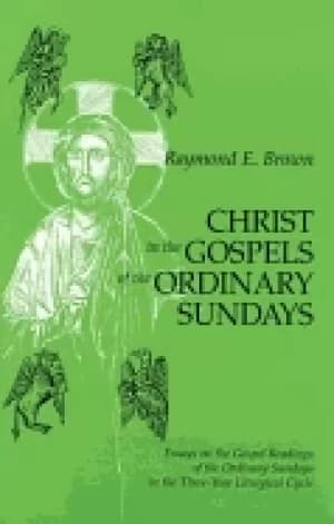 christ in the gospels of the ordinary sundays essays on the gospel readings