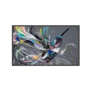 Philips 65 65BDL3511Q/00 Display