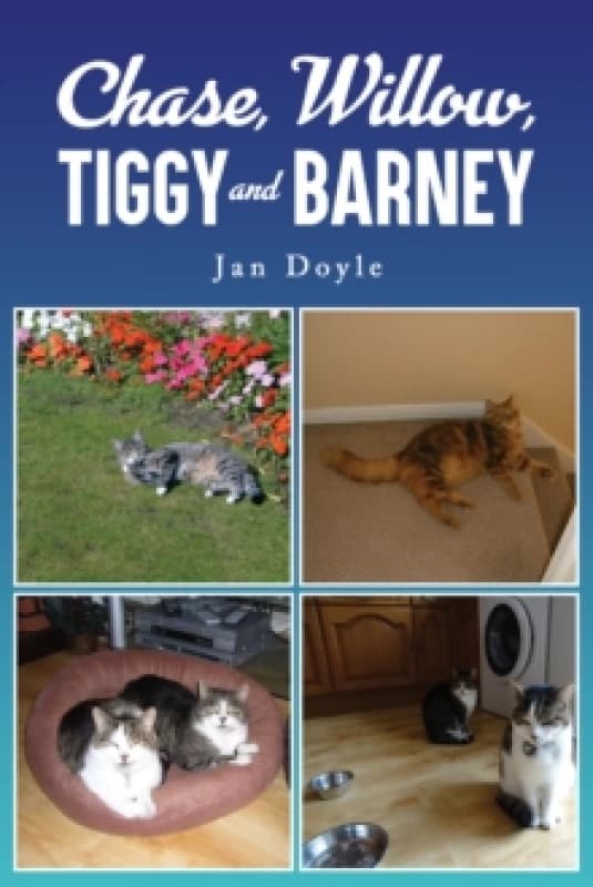Chase, Willow, Tiggy and Barney. Paperback. By Jan Doyle Books