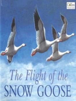 The Flight of the Snow Goose by Deborah King Paperback
