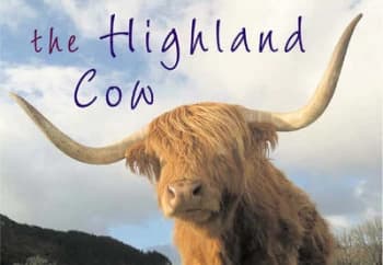 The Highland Cow by K Taylor and Colin Baxter Photography Paperback