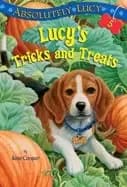 absolutely lucy 5 lucys tricks and treats