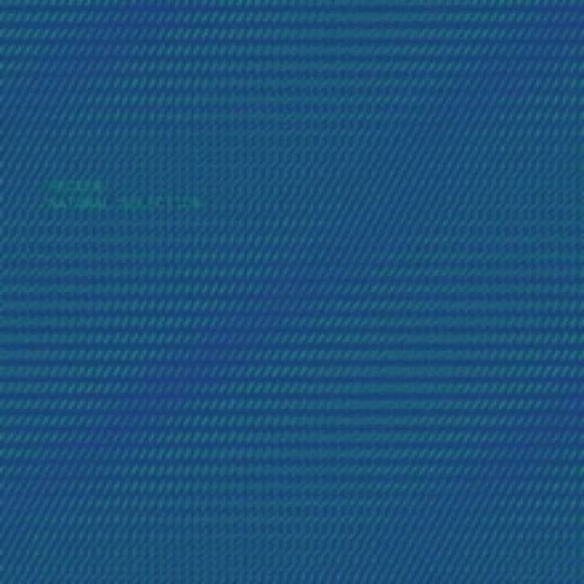 Natural Selection CD / Album