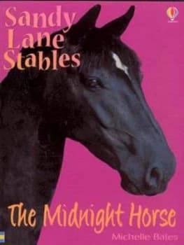 The Midnight Horse by Michelle Bates Book
