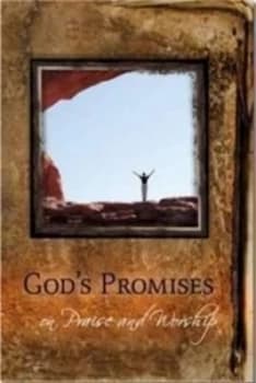 Gods Promises on Praise and Worship by Authentic Publishing Book