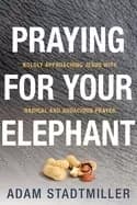 praying for your elephant boldly approaching jesus with radical and audacio