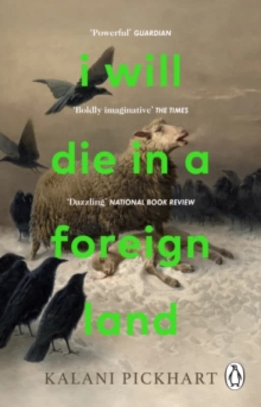 I Will Die in a Foreign Land Paperback / softback