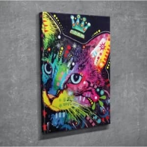 DC123 Multicolor Decorative Canvas Painting