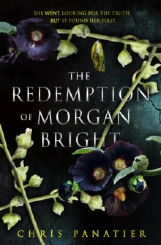 The Redemption of Morgan Bright Paperback / softback