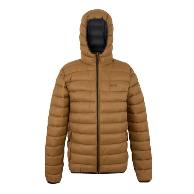 Regatta Regatta Men Hooded Marizion Padded Jacket in Brown Size: 2X-large Brown XXL Male 5063516178514