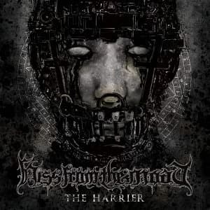 Hiss From The Moat - The Harrier vinyl